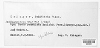 Thekopsora areolata image